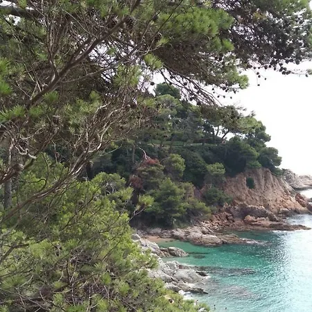 Apartament Cala Salions *
